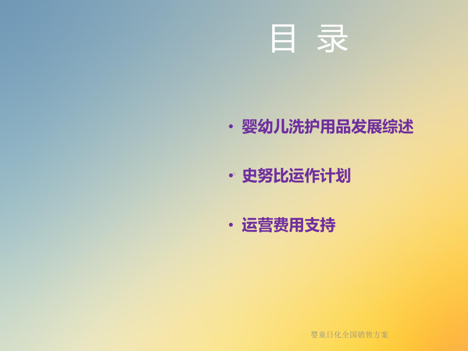 婴童日化全国销售方案.ppt_第2页