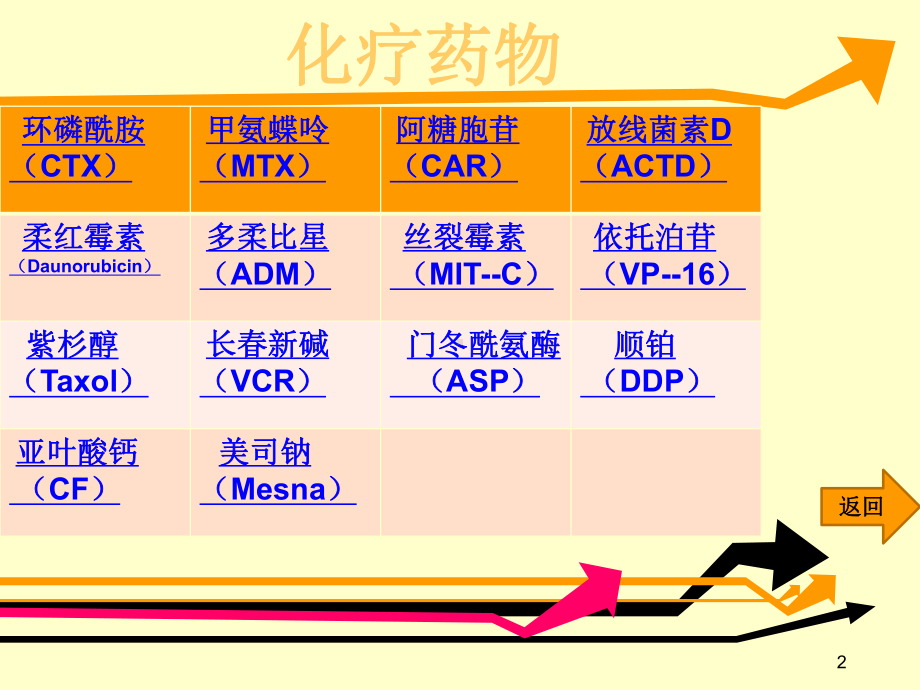 儿科常用化疗药课件.ppt_第2页