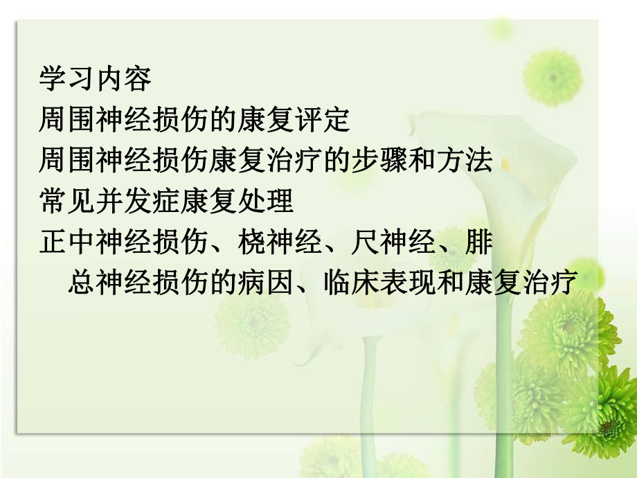 周围神经损伤的康复我的课件.ppt_第2页