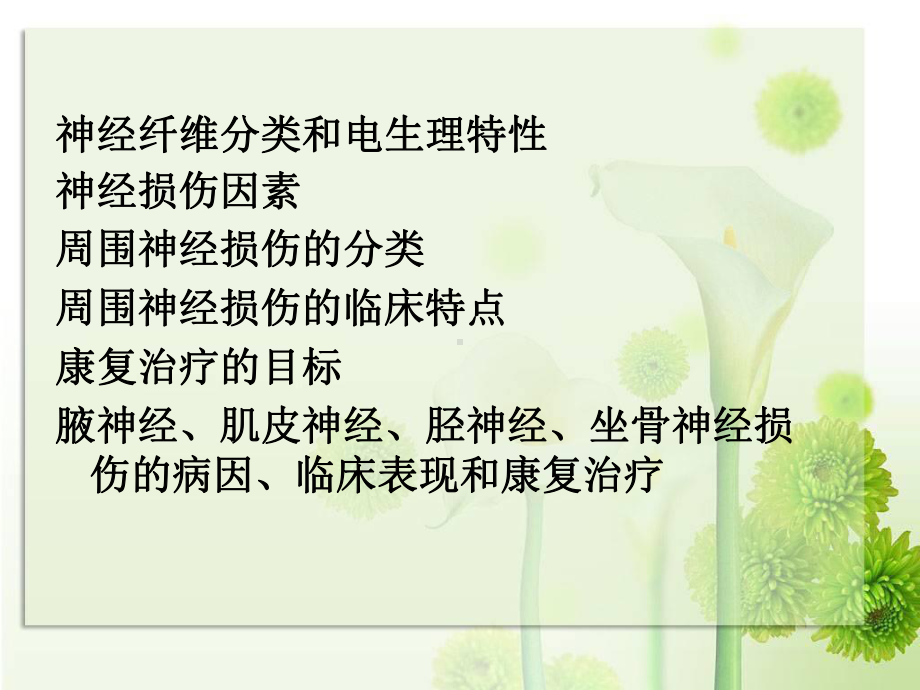 周围神经损伤的康复我的课件.ppt_第3页