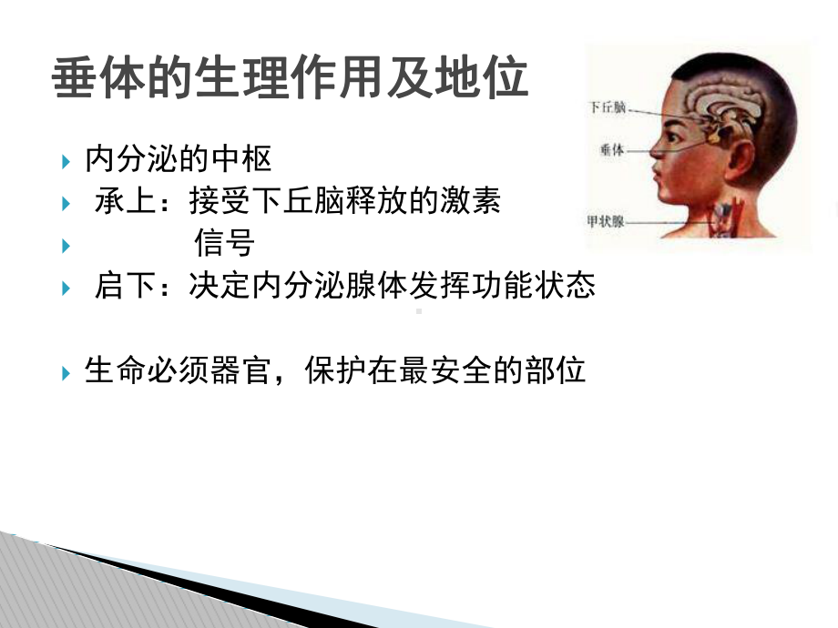 垂体瘤影像诊断课件.ppt_第2页