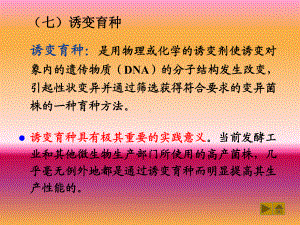 基础微生物学41课件.pptx