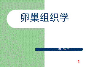 卵巢组织学课件.ppt