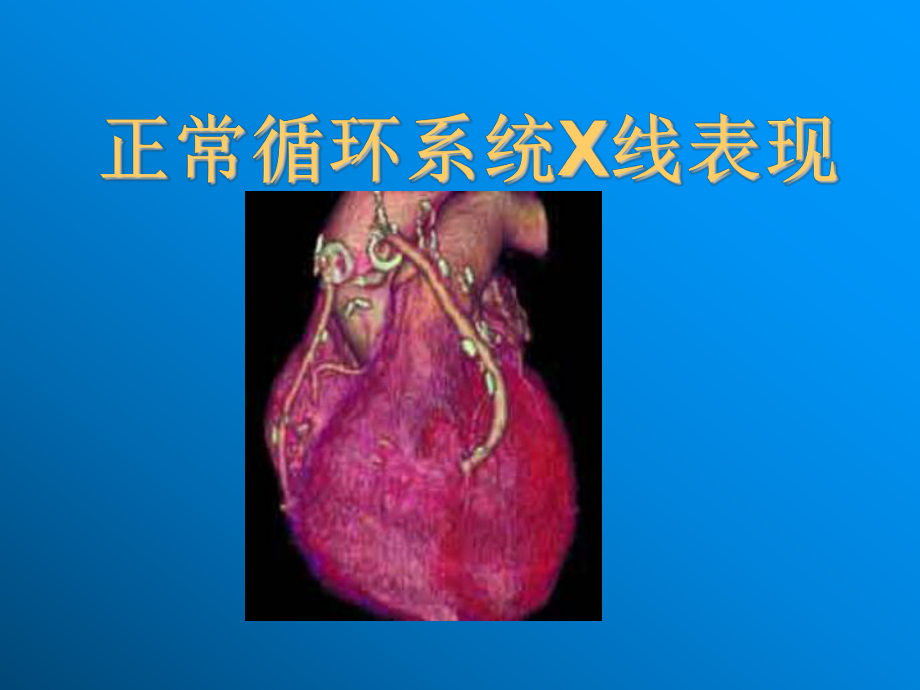 心脏循环系统课件.ppt_第1页