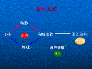 循环系统心动脉静脉课件.ppt