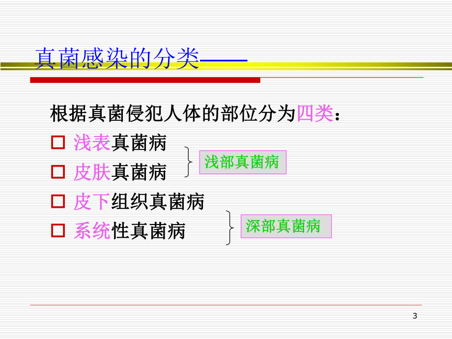 常见病原真菌课件.ppt_第3页