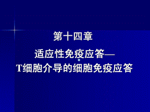 医学免疫学第十四章适应性免疫应对t细胞介导的细课件.ppt