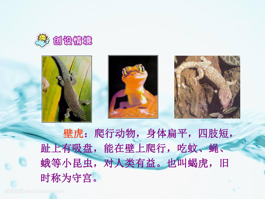 小壁虎借尾巴-省优获奖-精美立体课件.ppt_第2页