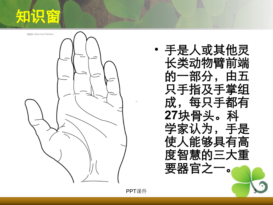 小学美术《会说话的手》-课件.ppt_第3页