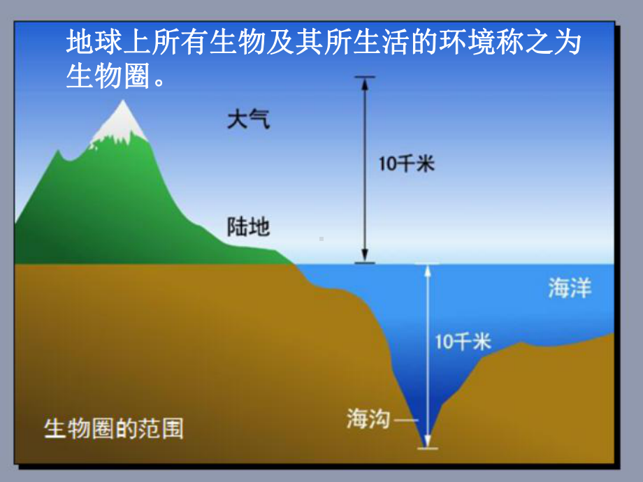 形形色色的生物课件19-北师大版.ppt_第3页