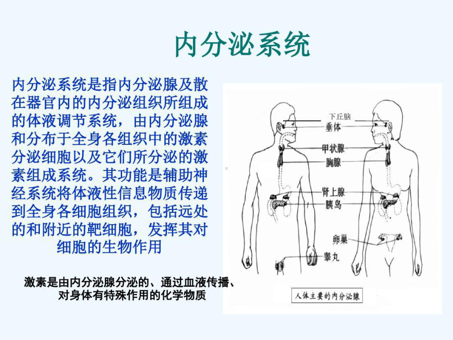 内分泌与代谢性疾病常见症状护理共51张课件.ppt_第3页