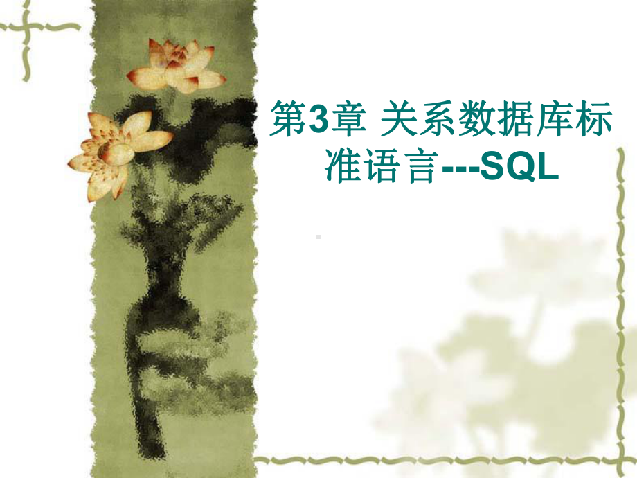 关系数据库标准语言-SQL课件.ppt_第1页