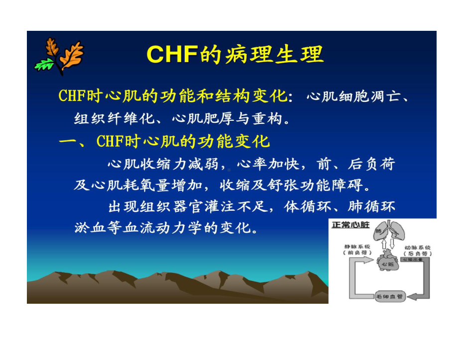 心血管药理心功能不全共38张课件.ppt_第2页