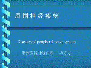 周围神经病进修生讲课课件.ppt