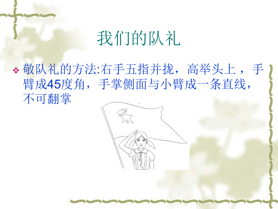 少先队的介绍课件.ppt_第2页