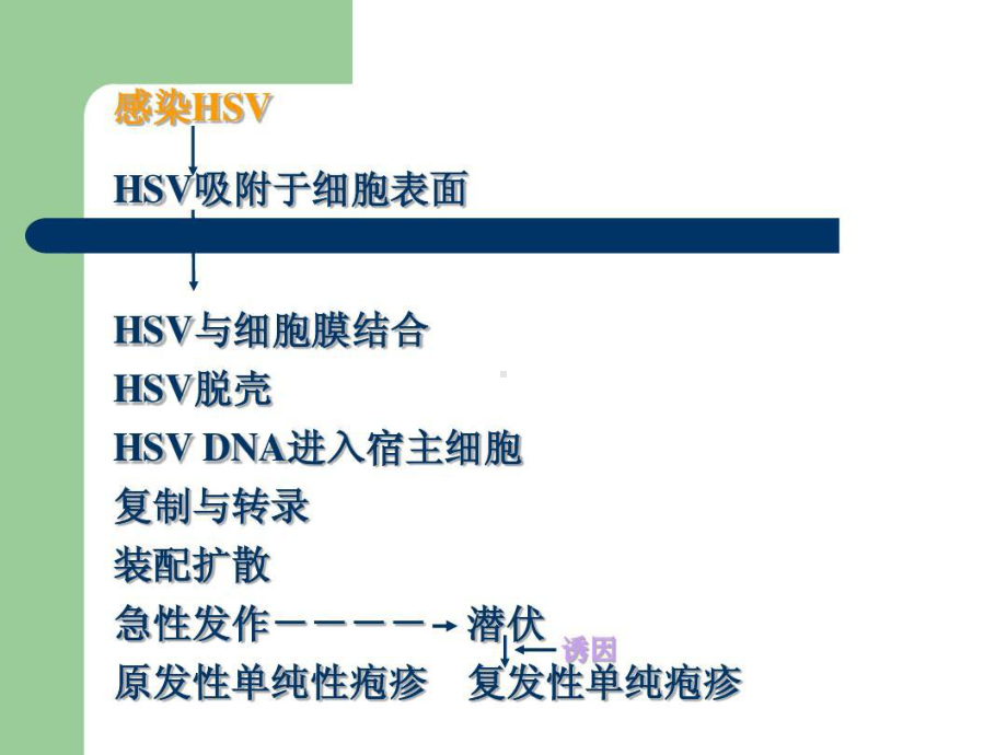 口腔粘膜感染性疾病共200张课件-2.ppt_第3页