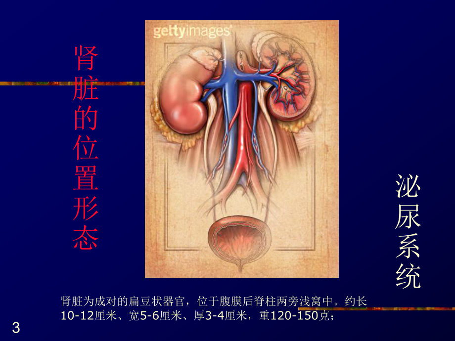 小儿血尿的鉴别诊断课件.ppt_第3页