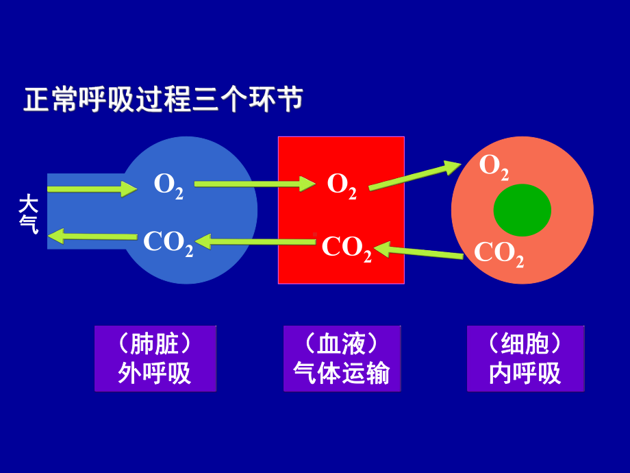 急性呼吸衰竭课件解答.ppt_第3页