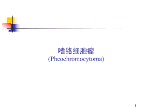 嗜铬细胞瘤(Pheochromocytoma)课件.ppt