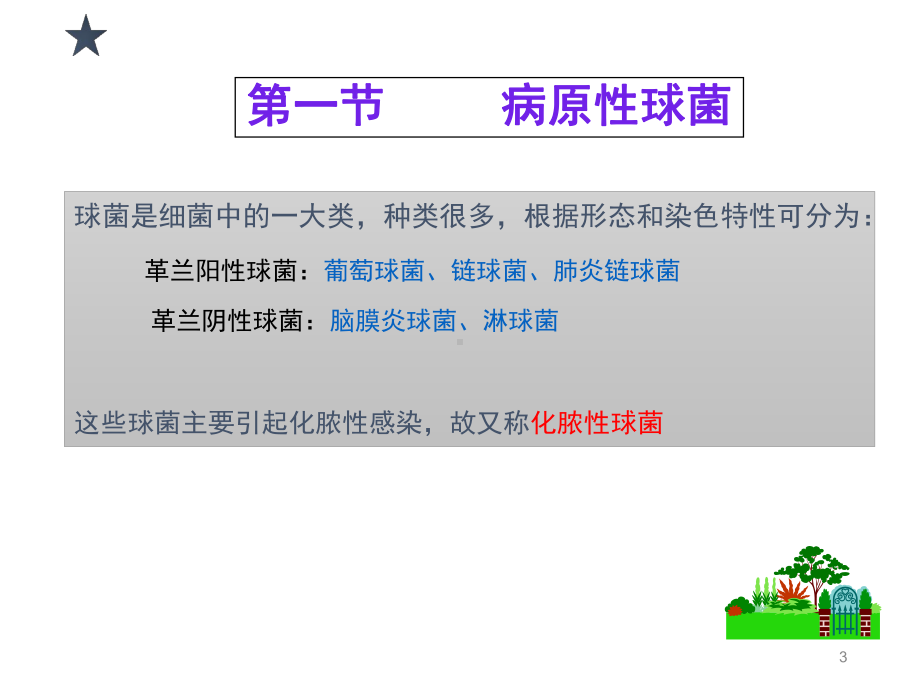 化脓性球菌课件.ppt_第3页