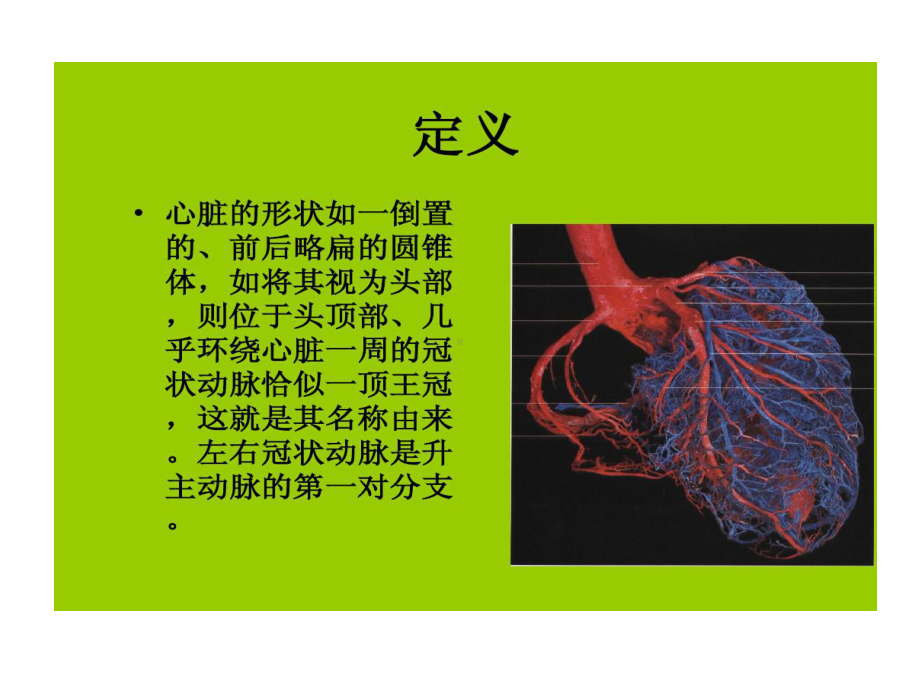 冠脉解剖和CT诊断57张课件.ppt_第2页