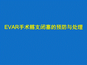 医学交流课件：EVAR手术髂支闭塞的预防与处理共24页.ppt