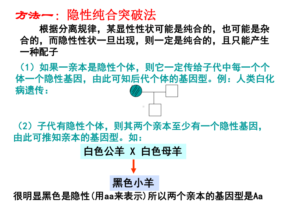 必修2《遗传和进化》重要知识复习(共60张)课件.ppt_第3页