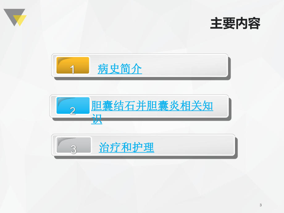 外科PBL护理查房胆囊结石-课件.ppt_第3页