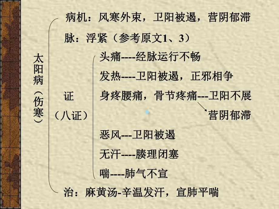 太阳病麻黄汤证变证热证课件.ppt_第2页