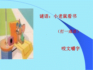 咬文嚼字(用)课件.ppt