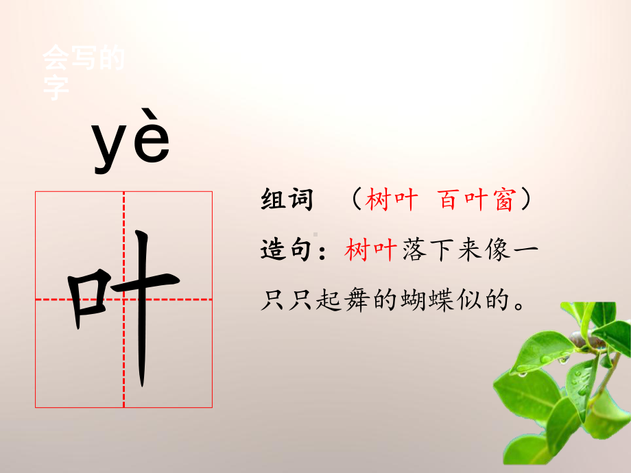 叶子的眼睛课件.pptx_第3页