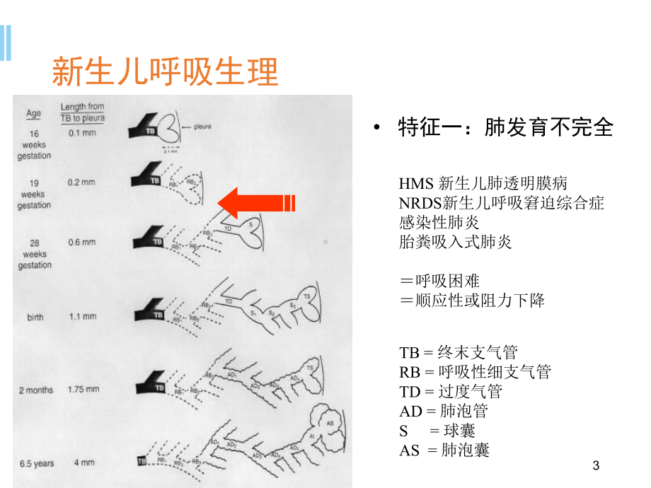 小儿呼吸机应用技巧医学课件.ppt_第3页