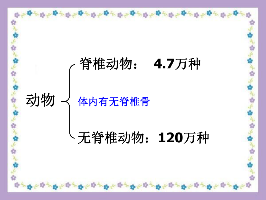 常见的脊椎动物课件.ppt_第2页