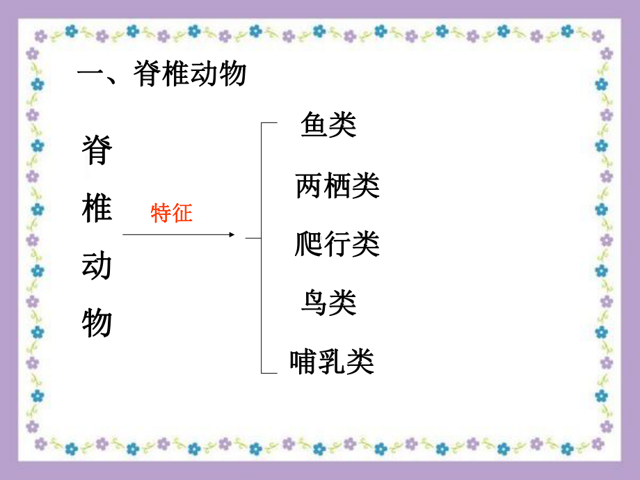 常见的脊椎动物课件.ppt_第3页