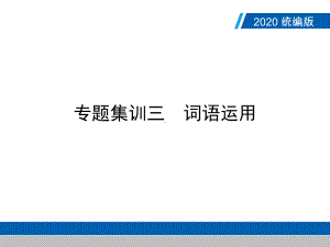 广东中考语文复习课件专题集训三-词语运用(58张).ppt