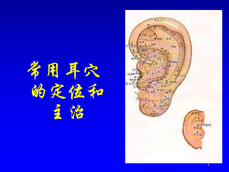 常用耳穴的定位和主治-课件.ppt_第1页