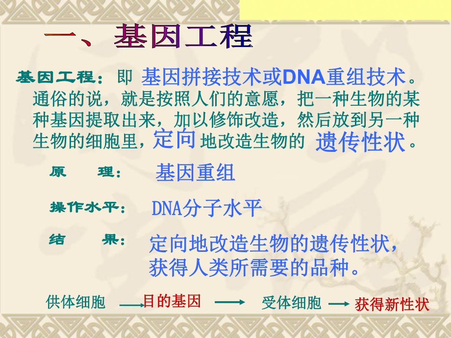 基因工程及其应用-优秀课件(共18张).ppt_第2页