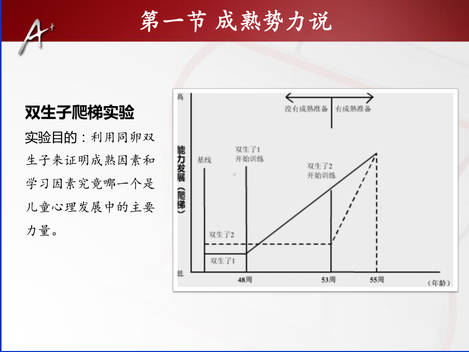 学前儿童心理发展的基本理论-课件.ppt_第3页