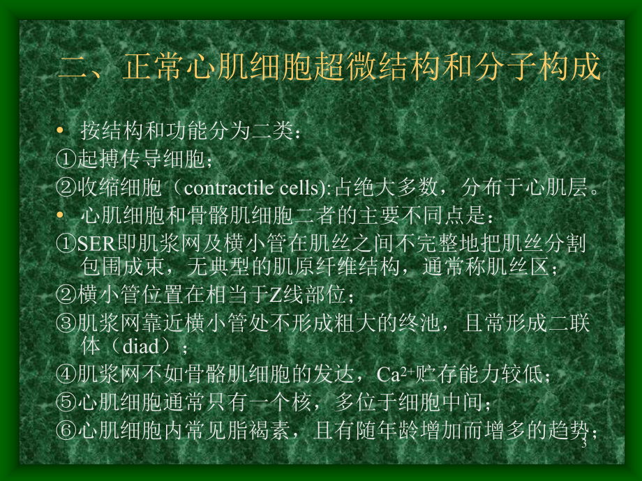 心血管系统超微结构与超微病理课件.ppt_第3页