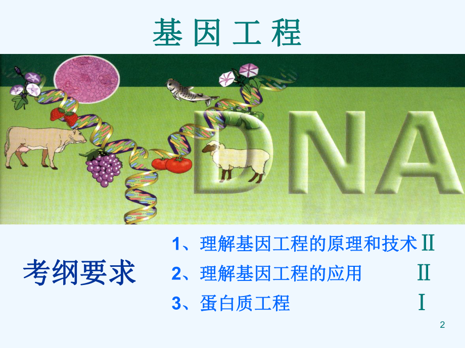 基因工程与蛋白质工程课件.ppt_第2页