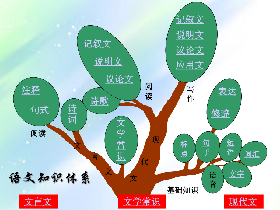 小学语文知识树简图-课件.ppt_第3页