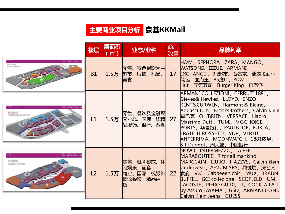 商业市场深度调研报告课件.ppt_第3页