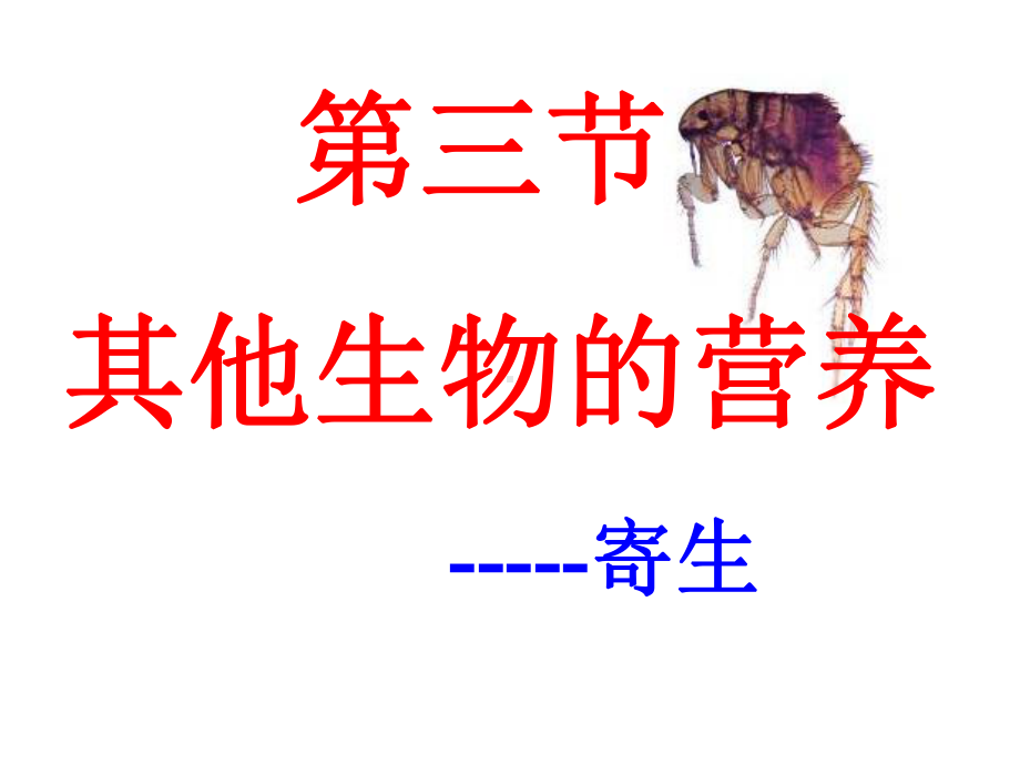 其他生物的营养-寄生课件.ppt_第2页