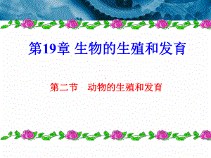 动物的生殖和发育课件.ppt