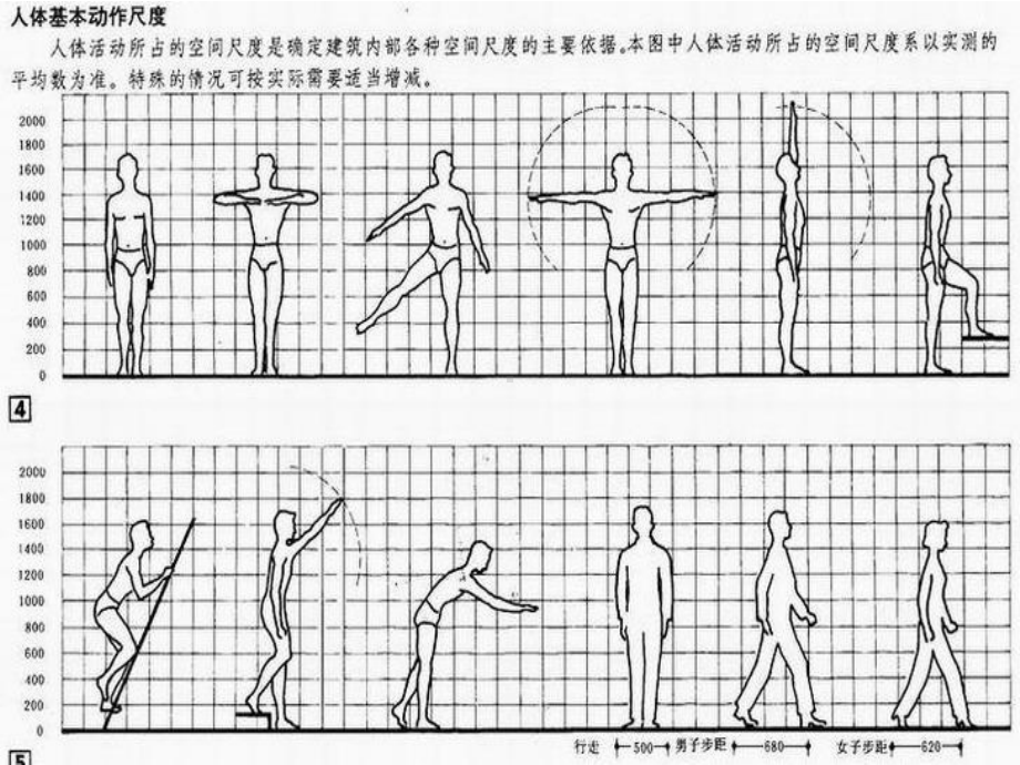 商业空间常用人体尺度分析课件.ppt_第3页