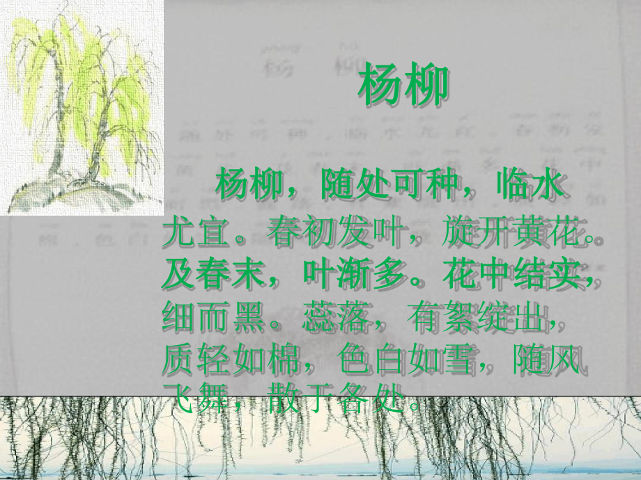 小古文杨柳课件.ppt_第2页