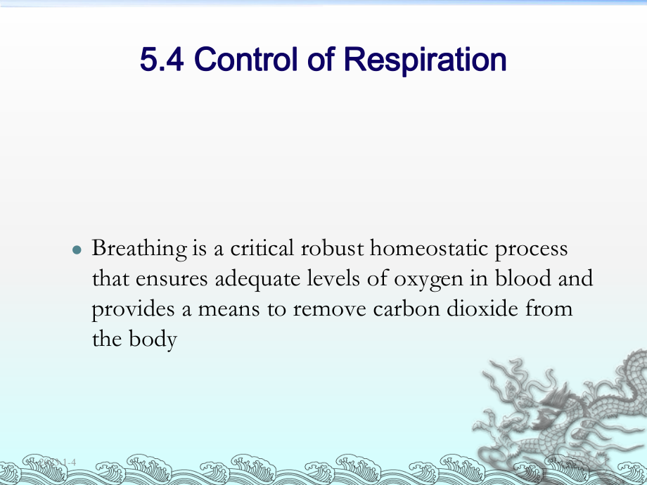 呼吸科呼吸系统课件4.ppt_第1页