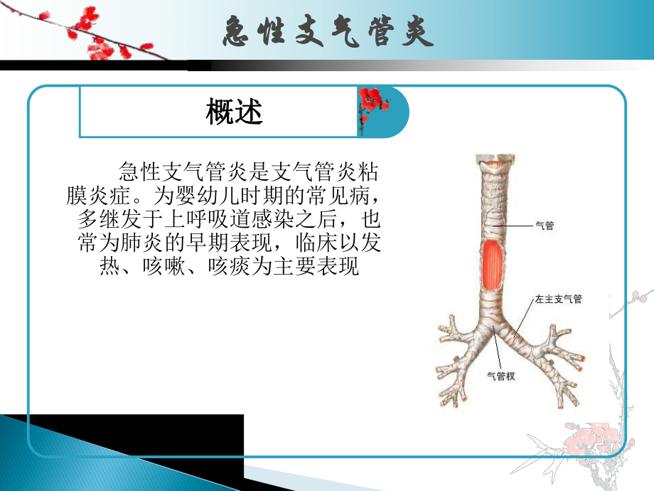 小儿支气管炎护理查房课件.ppt_第2页