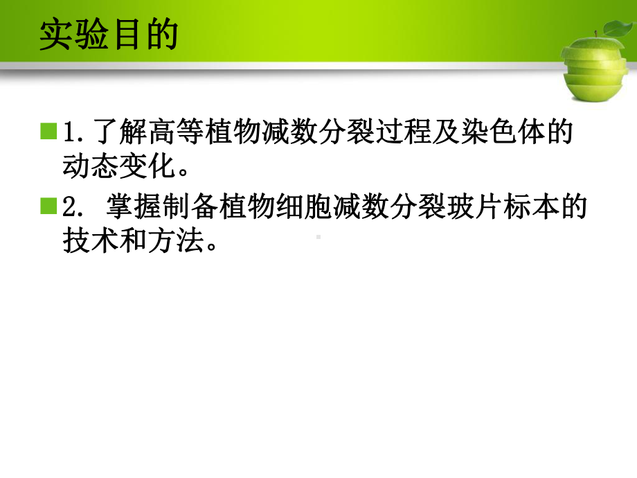 实验八减数分裂压片标本制备与观察课件.ppt_第2页