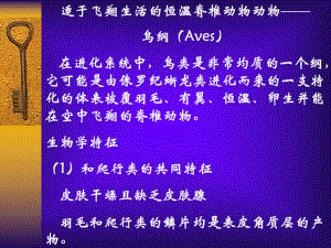 动物学-14鸟纲(Aves)课件.ppt